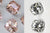 Moissanite vs Morganite Diamonds