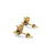 3 Petal Marquise Lab-Grown Diamond Stud + Solid Gold Earrings