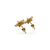 Flower Petal Marquise Cut Lab-Grown Diamond Stud + Solid Gold Earrings