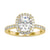 Cushion halo engagement ring with brilliant sparkle and elegance.
 Cushion halo engagement ring with brilliant sparkle and elegance.