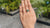 Cushion Divine Cut Green Moissanite Pavé Set 3.9 CT