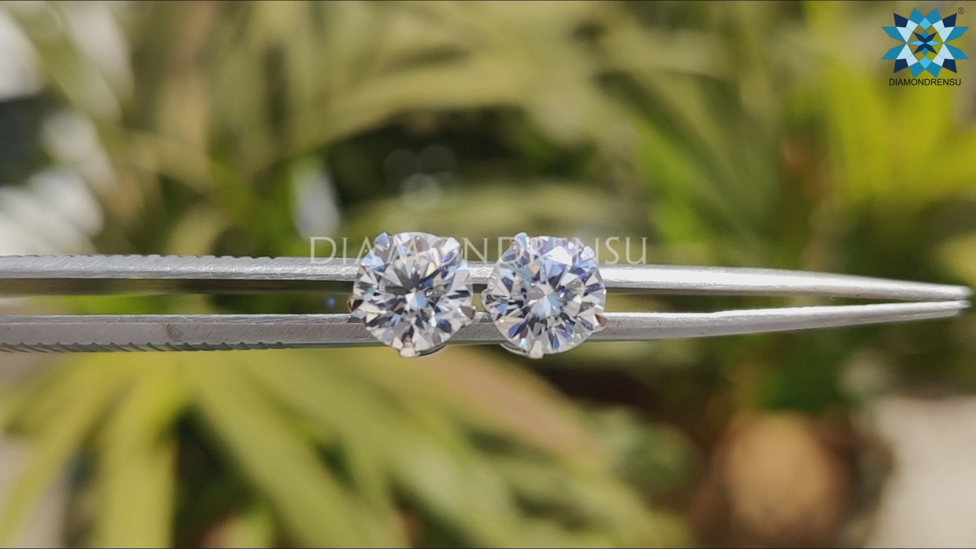 2.44 TW Round Brilliant Cut Colorless Moissanite Five Prong Stud Earrings