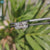 moissanite jewelry - diamondrensu