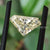diamond cut loose moissanite diamond cut loose moissanite