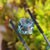 moissanite rings - diamondrensu