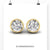 moissanite earrings screw back - diamondrensu