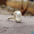 halo engagement ring - diamondrensu