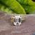 moissanite vs diamond - diamondrensu
