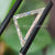 triangle rose cut triangle rose cut
