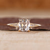Cushion Old European Cut Ring with round side stones.
