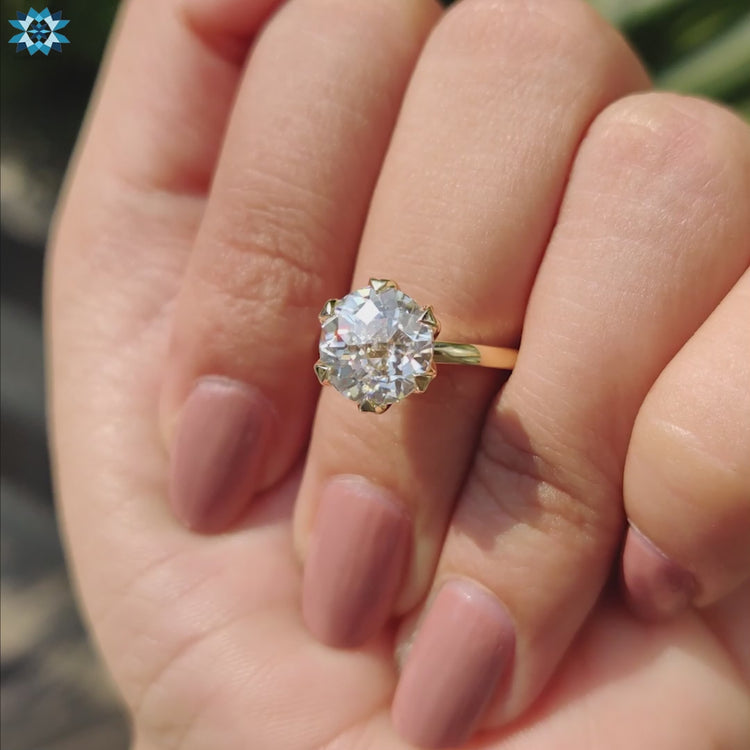 Diamondrensu Australia