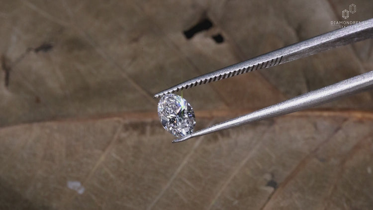 Diamondrensu Australia