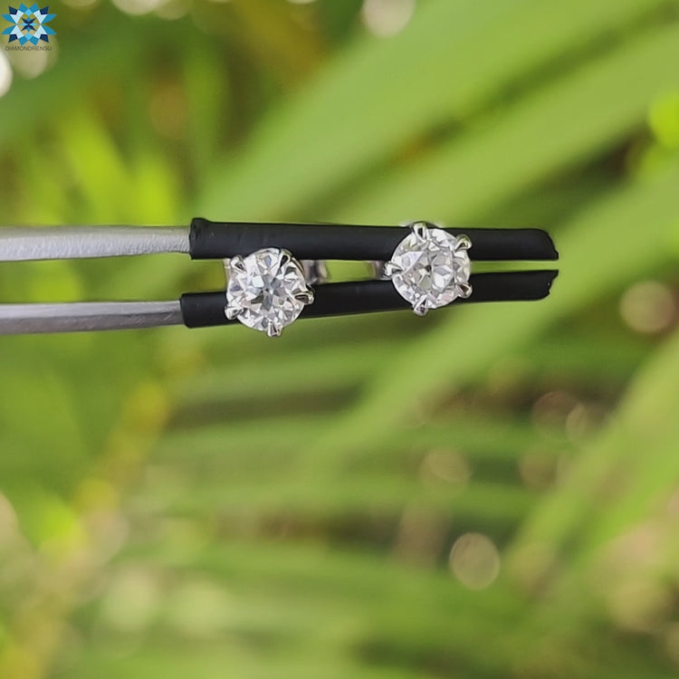Diamondrensu Australia