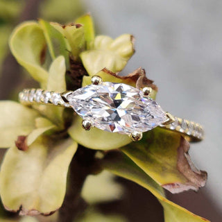 moissanite vs diamond - diamondrensu