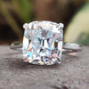 5.25 TCW Cushion OEC Adorned Cathedral Hidden Halo Engagement Ring