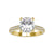 cathedral set engagement ring - diamondrensu