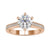 moissanite engagement rings - diamondrensu